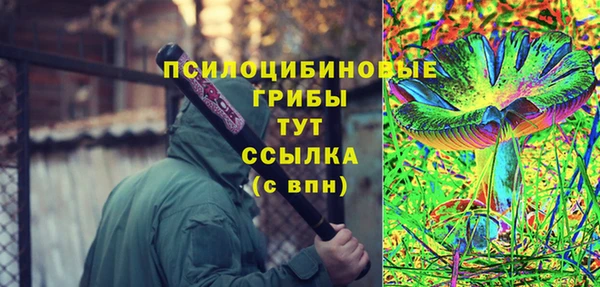 Альфа ПВП Алзамай