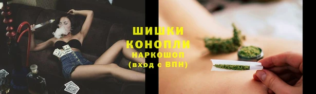 дживик Новодвинск