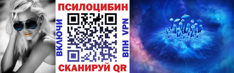 OMG tor Аргун Псилоцибиновые грибы Psilocybine cubensis